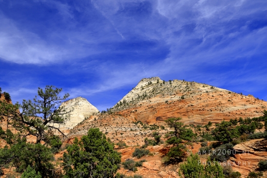 Zion_National_Park_Canyon_Utah_USA_landscape_nature_Photography_214_Canon_EOS_R5_Mark_II.JPG