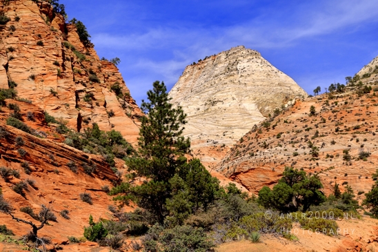 Zion_National_Park_Canyon_Utah_USA_landscape_nature_Photography_215_Canon_EOS_R5_Mark_II.JPG