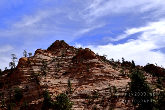 Zion_National_Park_Canyon_Utah_USA_landscape_nature_Photography_216_Canon_EOS_R5_Mark_II.JPG