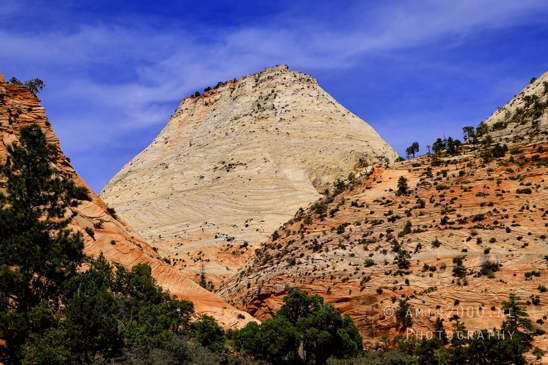 Zion_National_Park_Canyon_Utah_USA_landscape_nature_Photography_217_Canon_EOS_R5_Mark_II.JPG