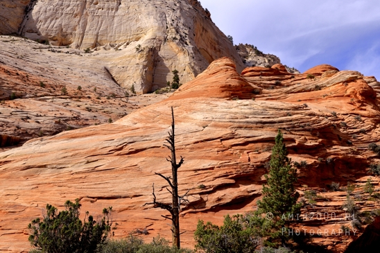 Zion_National_Park_Canyon_Utah_USA_landscape_nature_Photography_219_Canon_EOS_R5_Mark_II.JPG