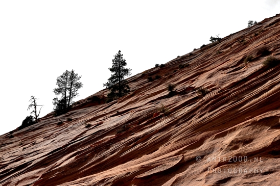 Zion_National_Park_Canyon_Utah_USA_landscape_nature_Photography_220_Canon_EOS_R5_Mark_II.JPG