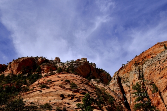 Zion_National_Park_Canyon_Utah_USA_landscape_nature_Photography_225_Canon_EOS_R5_Mark_II.JPG