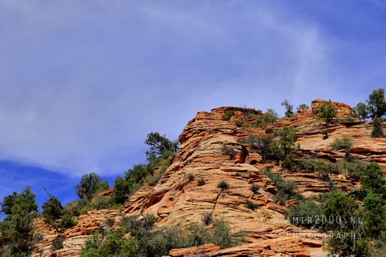 Zion_National_Park_Canyon_Utah_USA_landscape_nature_Photography_226_Canon_EOS_R5_Mark_II.JPG