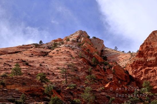 Zion_National_Park_Canyon_Utah_USA_landscape_nature_Photography_229_Canon_EOS_R5_Mark_II.JPG
