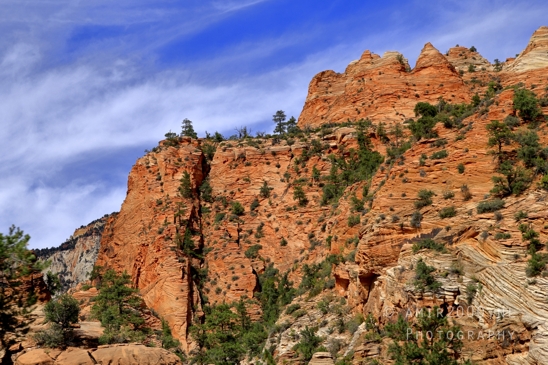Zion_National_Park_Canyon_Utah_USA_landscape_nature_Photography_230_Canon_EOS_R5_Mark_II.JPG