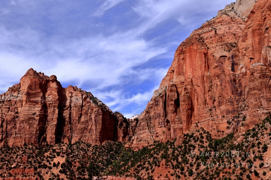 Zion_National_Park_Canyon_Utah_USA_landscape_nature_Photography_233_Canon_EOS_R5_Mark_II.JPG