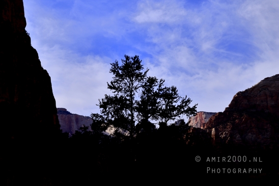 Zion_National_Park_Canyon_Utah_USA_landscape_nature_Photography_237_Canon_EOS_R5_Mark_II.JPG