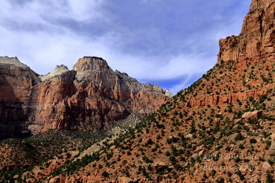 Zion_National_Park_Canyon_Utah_USA_landscape_nature_Photography_240_Canon_EOS_R5_Mark_II.JPG
