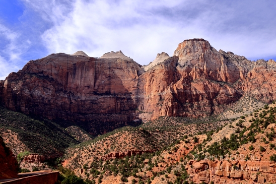 Zion_National_Park_Canyon_Utah_USA_landscape_nature_Photography_241_Canon_EOS_R5_Mark_II.JPG