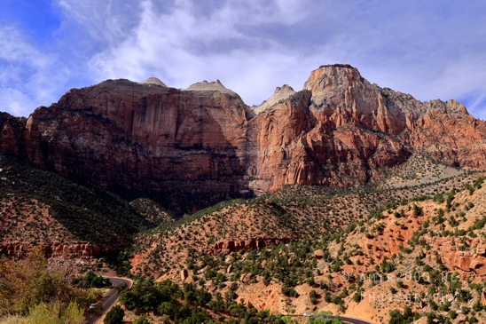 Zion_National_Park_Canyon_Utah_USA_landscape_nature_Photography_243_Canon_EOS_R5_Mark_II.JPG