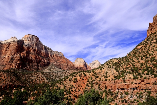Zion_National_Park_Canyon_Utah_USA_landscape_nature_Photography_245_Canon_EOS_R5_Mark_II.JPG