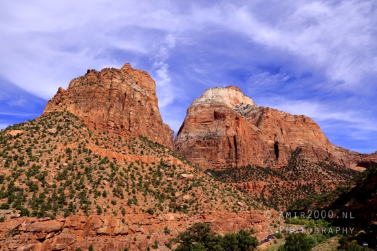 Zion_National_Park_Canyon_Utah_USA_landscape_nature_Photography_246_Canon_EOS_R5_Mark_II.JPG