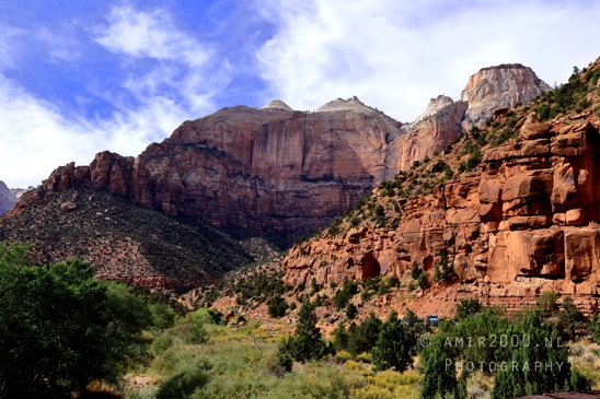 Zion_National_Park_Canyon_Utah_USA_landscape_nature_Photography_249_Canon_EOS_R5_Mark_II.JPG