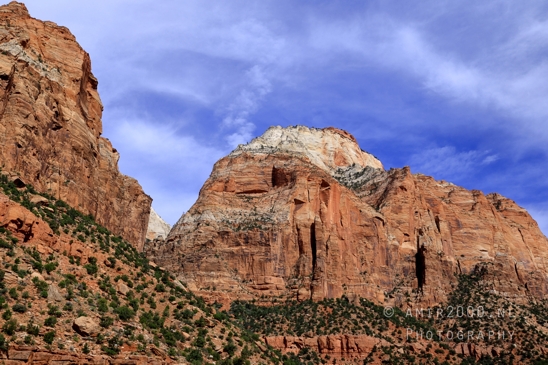 Zion_National_Park_Canyon_Utah_USA_landscape_nature_Photography_250_Canon_EOS_R5_Mark_II.JPG