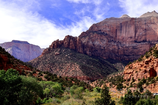 Zion_National_Park_Canyon_Utah_USA_landscape_nature_Photography_251_Canon_EOS_R5_Mark_II.JPG
