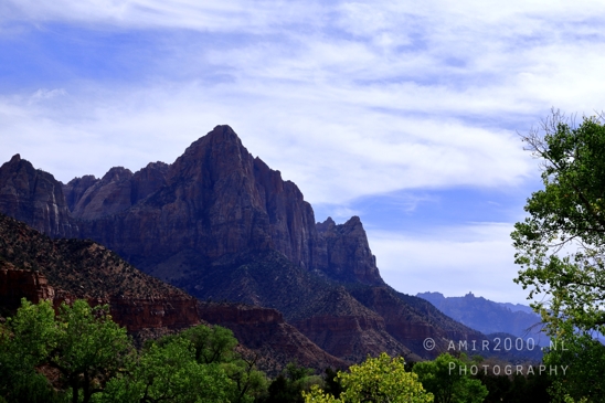 Zion_National_Park_Canyon_Utah_USA_landscape_nature_Photography_254_Canon_EOS_R5_Mark_II.JPG