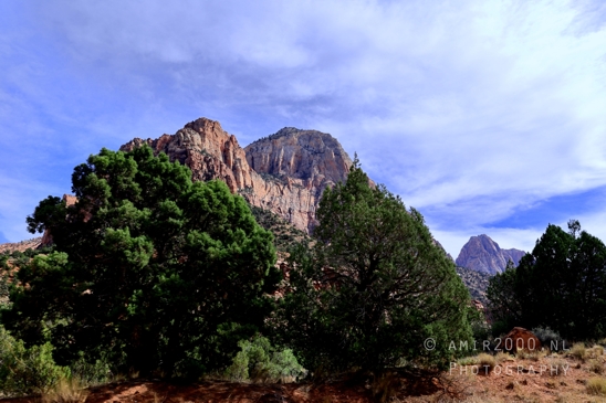 Zion_National_Park_Canyon_Utah_USA_landscape_nature_Photography_255_Canon_EOS_R5_Mark_II.JPG
