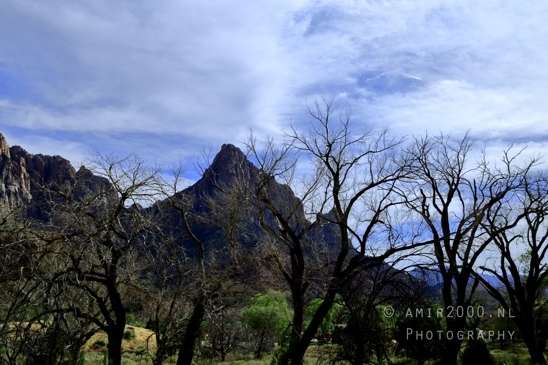 Zion_National_Park_Canyon_Utah_USA_landscape_nature_Photography_257_Canon_EOS_R5_Mark_II.JPG