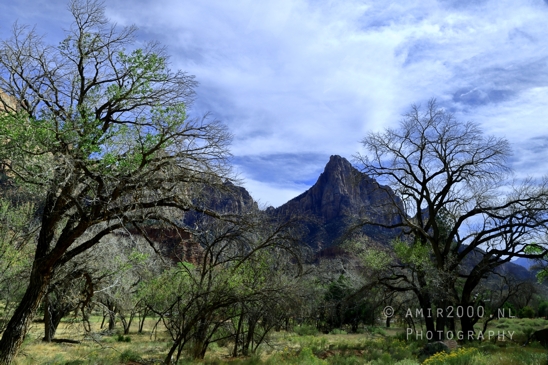 Zion_National_Park_Canyon_Utah_USA_landscape_nature_Photography_258_Canon_EOS_R5_Mark_II.JPG