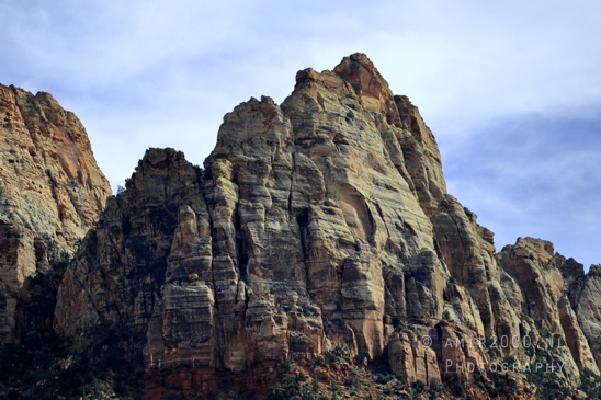Zion_National_Park_Canyon_Utah_USA_landscape_nature_Photography_259_Canon_EOS_R5_Mark_II.JPG