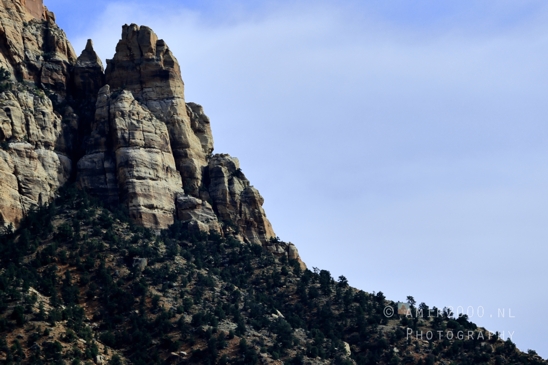 Zion_National_Park_Canyon_Utah_USA_landscape_nature_Photography_261_Canon_EOS_R5_Mark_II.JPG