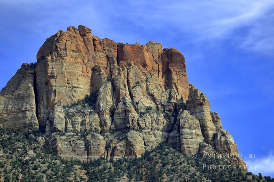 Zion_National_Park_Canyon_Utah_USA_landscape_nature_Photography_262_Canon_EOS_R5_Mark_II.JPG