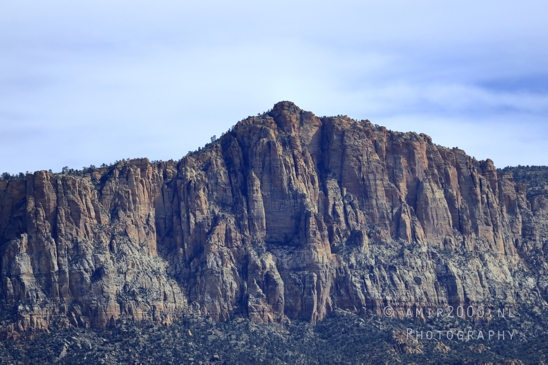 Zion_National_Park_Canyon_Utah_USA_landscape_nature_Photography_263_Canon_EOS_R5_Mark_II.JPG