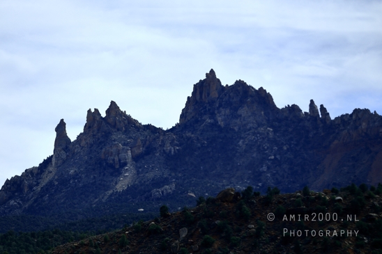 Zion_National_Park_Canyon_Utah_USA_landscape_nature_Photography_265_Canon_EOS_R5_Mark_II.JPG
