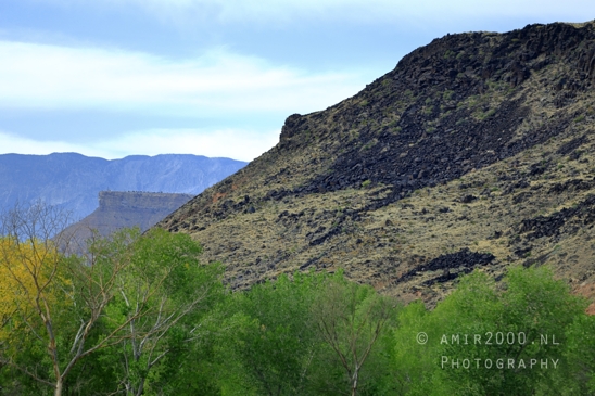 Zion_National_Park_Canyon_Utah_USA_landscape_nature_Photography_267_Canon_EOS_R5_Mark_II.JPG