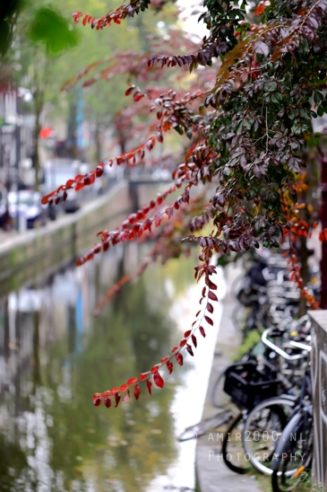 Bridge_over_canal_city_view_Amsterdam_fall_Urban_Street_Cityscape_Netherlands_Photography_001_Canon_EOS_R5_Mark_II.JPG