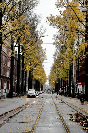 Czaar_Peterstraat_autumn_colors_Amsterdam_fall_Urban_Street_Cityscape_Netherlands_Photography_001_Canon_EOS_R5_Mark_II.JPG