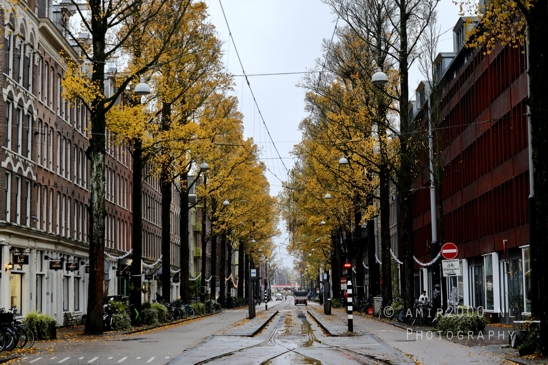 Czaar_Peterstraat_autumn_vibes_Amsterdam_fall_Urban_Street_Cityscape_Netherlands_Photography_001_Canon_EOS_R5_Mark_II.JPG