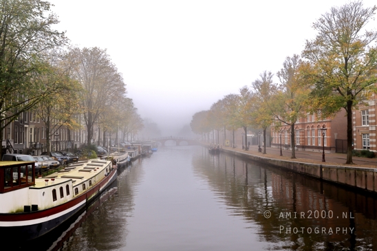 Foggy_tree_reflection_autumn_vibes_Amsterdam_fall_Urban_Street_Cityscape_Netherlands_Photography_001_Canon_EOS_R5_Mark_II.JPG