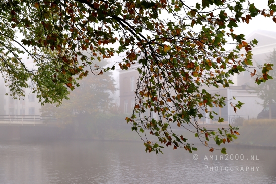 Misty_Mauritskade_Amsterdam_fall_Urban_Street_Cityscape_Netherlands_Photography_001_Canon_EOS_R5_Mark_II.JPG