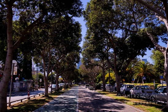 Tel_Aviv_Jaffa_city_cityscape_urban_street_Tel-Aviv_Israel_Aviv-jaffa_Photography_018_Canon_EOS_R5_Mark_II.JPG