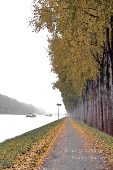 Amsterdam_Rijnkanal_Boat_And_Path_With_Trees_Canal_View_Landscape_Netherlands_Photography_001_Canon_EOS_R5_Mark_II.JPG