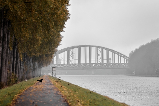 Amsterdam_Rijnkanal_Bridge_Over_Canal_With_Trees_Landscape_Netherlands_Photography_001_Canon_EOS_R5_Mark_II.JPG
