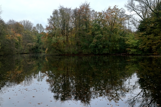 Amsterdamse_Bos_Fall_Autumn_scenery_reflection_Nature_Landscape_Amsterdam_Netherlands_Photography_001_Canon_EOS_R5_Mark_II.JPG