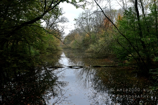 Amsterdamse_Bos_Fall_Autumn_scenery_reflection_Nature_Landscape_Amsterdam_Netherlands_Photography_002_Canon_EOS_R5_Mark_II.JPG