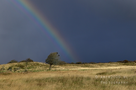 Amsterdamse_Waterleidingduinen_Fall_scenery_Nature_Landscape_Amsterdam_Netherlands_Photography_008_Canon_EOS_R5_Mark_II.JPG