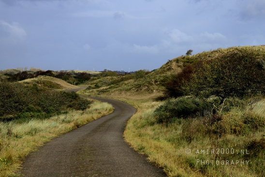 Amsterdamse_Waterleidingduinen_Fall_scenery_Nature_Landscape_Amsterdam_Netherlands_Photography_018_Canon_EOS_R5_Mark_II.JPG