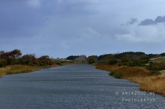 Amsterdamse_Waterleidingduinen_Fall_scenery_Nature_Landscape_Amsterdam_Netherlands_Photography_020_Canon_EOS_R5_Mark_II.JPG