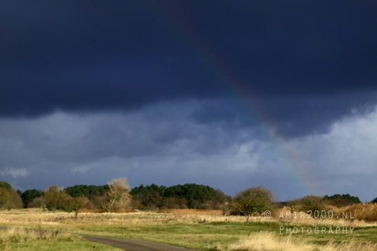 Amsterdamse_Waterleidingduinen_Fall_scenery_Nature_Landscape_Amsterdam_Netherlands_Photography_024_Canon_EOS_R5_Mark_II.JPG