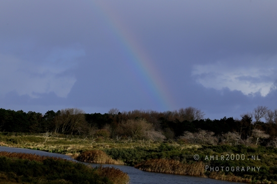 Amsterdamse_Waterleidingduinen_Fall_scenery_Nature_Landscape_Amsterdam_Netherlands_Photography_027_Canon_EOS_R5_Mark_II.JPG