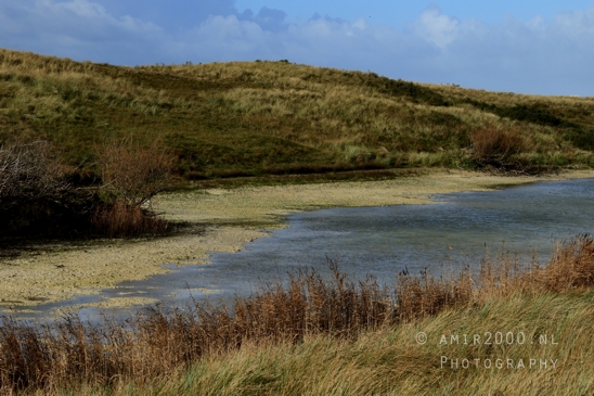 Amsterdamse_Waterleidingduinen_Fall_scenery_Nature_Landscape_Amsterdam_Netherlands_Photography_029_Canon_EOS_R5_Mark_II.JPG