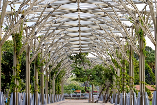 Around_the_parks_landscape_nature_Tel-Aviv_Israel_Tel_Aviv-jaffa_Photography_012_Canon_EOS_R5_Mark_II.JPG