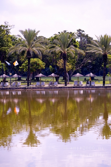 Around_the_parks_landscape_nature_Tel-Aviv_Israel_Tel_Aviv-jaffa_Photography_023_Canon_EOS_R5_Mark_II.JPG