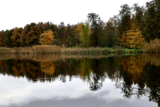 Diemerpolder_Reflection_Fall_scenery_Landscape_Nature_Photography_001_Canon_EOS_R5_Mark_II.JPG