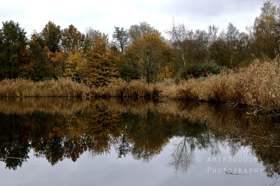Diemerpolder_Reflection_Fall_scenery_Landscape_Nature_Photography_002_Canon_EOS_R5_Mark_II.JPG